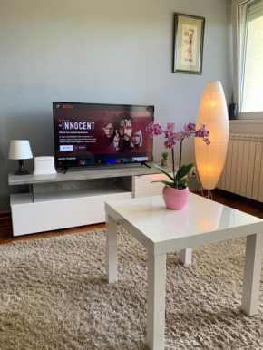 Sunkissed apartment